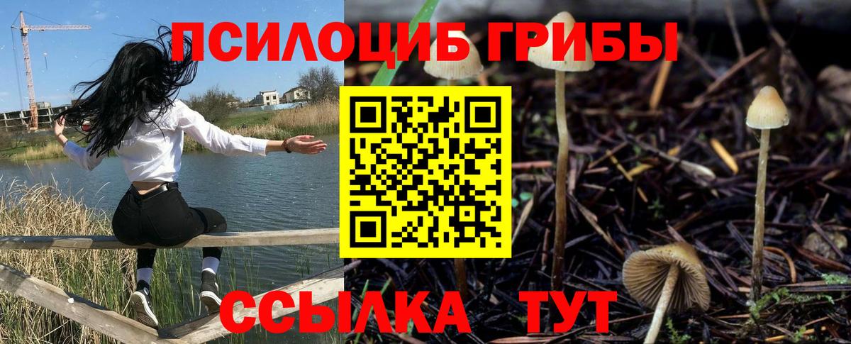 Магнитогорск  Псилоцибиновые грибы GOLDEN TEACHER  Вход с VPN 